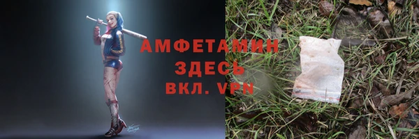 гидра Бородино