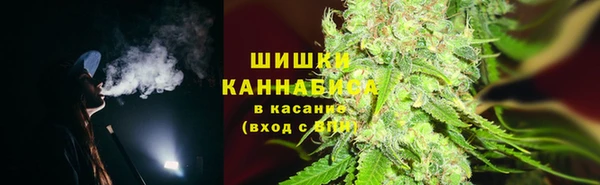 дживик Бронницы