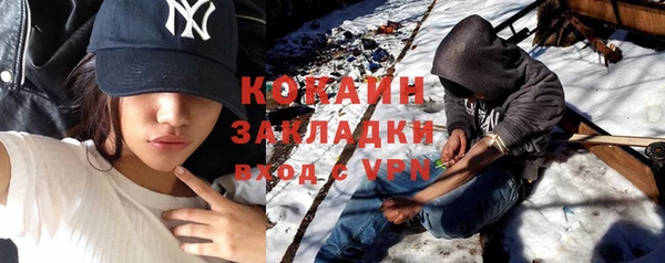 гидра Бородино