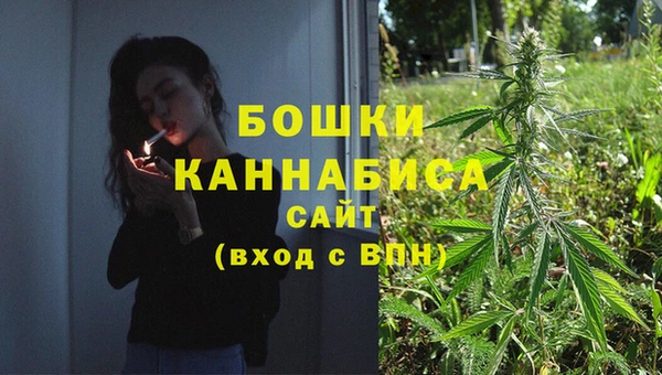 гидра Бородино