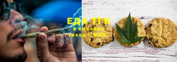 дживик Бронницы