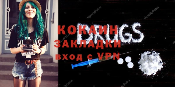 гидра Бородино