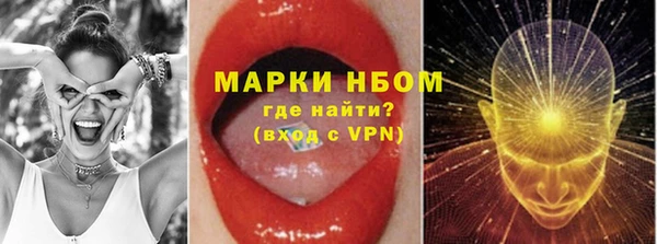 гидра Бородино