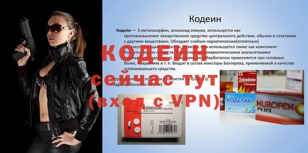 дживик Бронницы