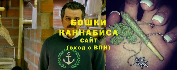 гидра Бородино