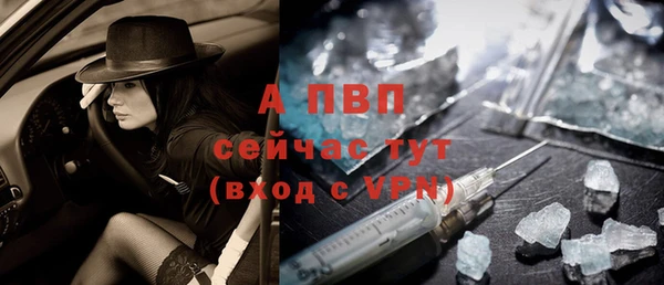 гидра Бородино